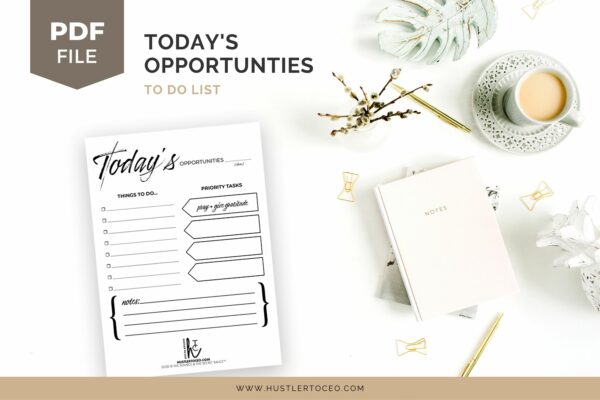 Today's Opportunities - Hustler To CEO